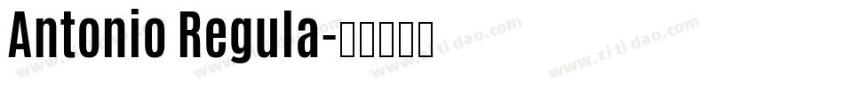 Antonio Regula字体转换